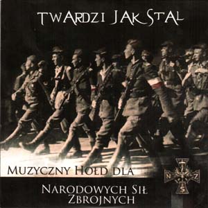 Twardzi Jak Stal: Muzyczny Hołd Dla Narodowych Sil Zbrojnych